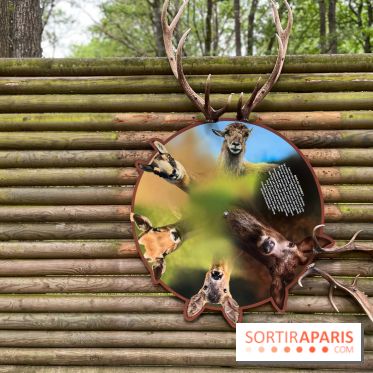 Espace Rambouillet