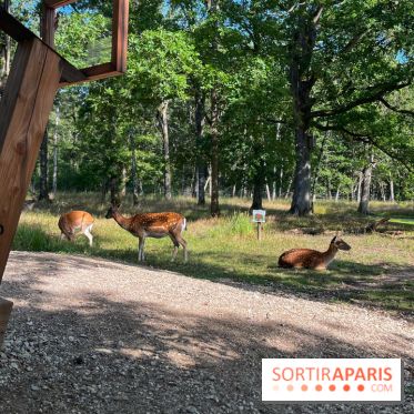 Espace Rambouillet - IMG 4417