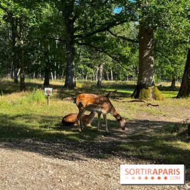 Espace Rambouillet - IMG 4425