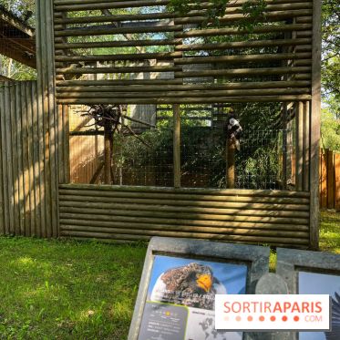 Espace Rambouillet - IMG 4440