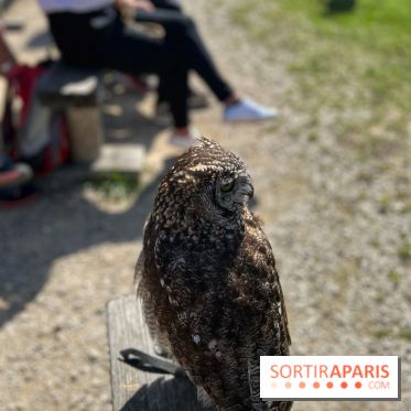 Espace Rambouillet - IMG 4454