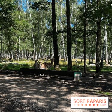 Espace Rambouillet