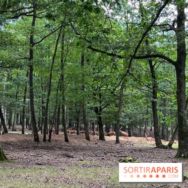 Espace Rambouillet