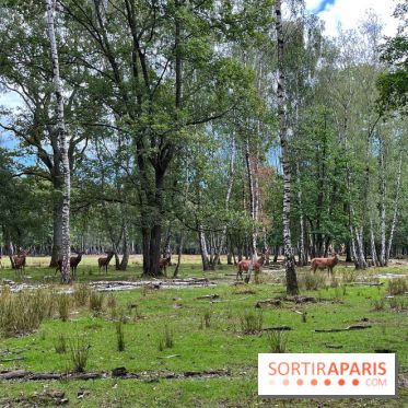 Espace Rambouillet