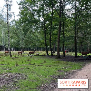 Espace Rambouillet
