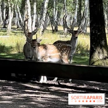 Espace Rambouillet - IMG 4544