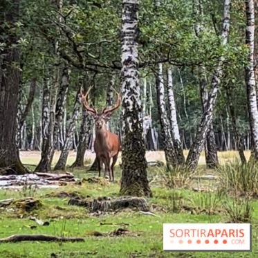 Espace Rambouillet