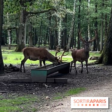 Espace Rambouillet