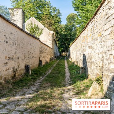 Bourron-Marlotte, village de Seine-et-Marne -  A7C9321