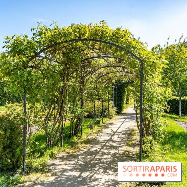 Parc de La Croix du Bois à Voisins-le-Bretonneux -  A7C4049