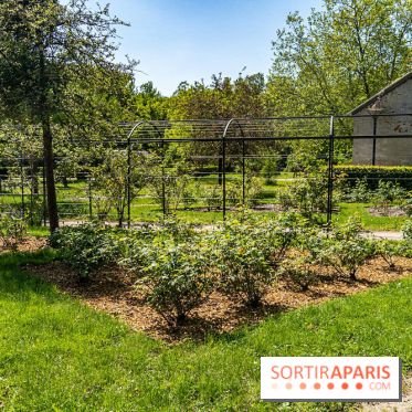 Parc de La Croix du Bois à Voisins-le-Bretonneux -  A7C4052