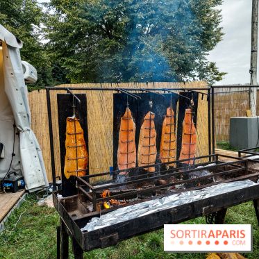 Rock en Seine 2023, nos photos - 20230823 183815