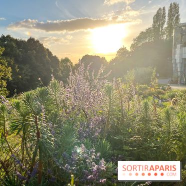 Le parc de Belleville - image00027