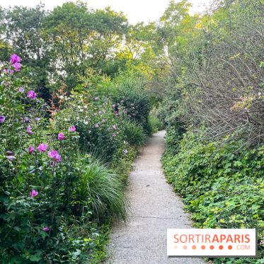 Le parc de Belleville - image00019