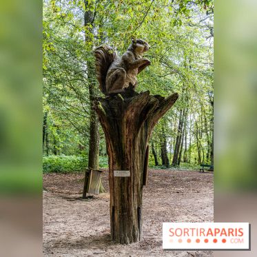 Le village de Janvry en Haute Vallée de Chevreuse  -  A7C0049
