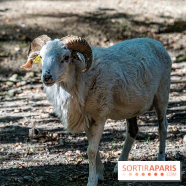 Le village de Janvry en Haute Vallée de Chevreuse  -  A7C0060