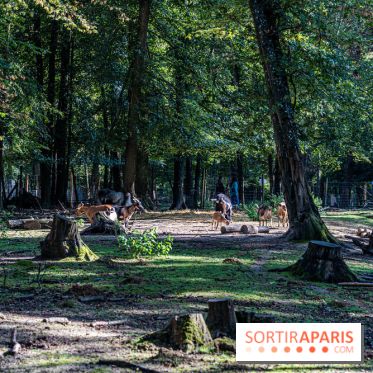 Le village de Janvry en Haute Vallée de Chevreuse