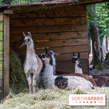 Le village de Janvry en Haute Vallée de Chevreuse  -  A7C0046
