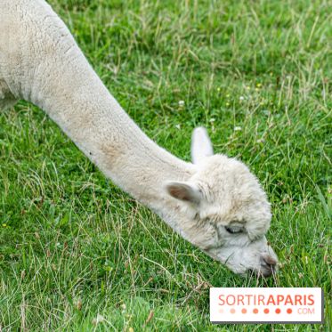 Le village de Janvry en Haute Vallée de Chevreuse  -  A7C9966
