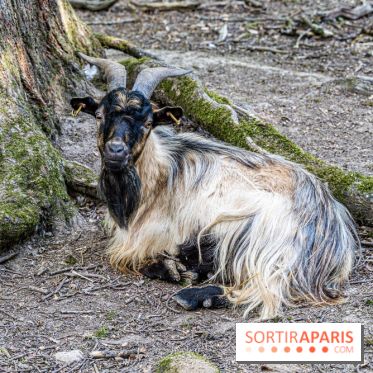 Le village de Janvry en Haute Vallée de Chevreuse  -  A7C0061