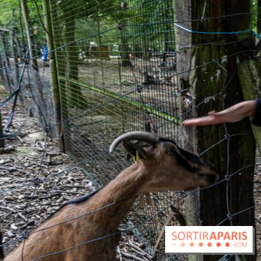 Le village de Janvry en Haute Vallée de Chevreuse  -  A7C9984
