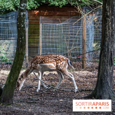 Le village de Janvry en Haute Vallée de Chevreuse  -  A7C0052