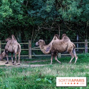 Le village de Janvry en Haute Vallée de Chevreuse  -  A7C9971