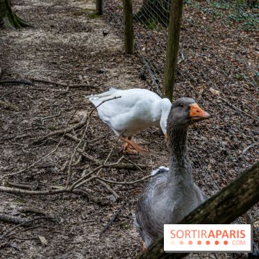 Le village de Janvry en Haute Vallée de Chevreuse  -  A7C0003
