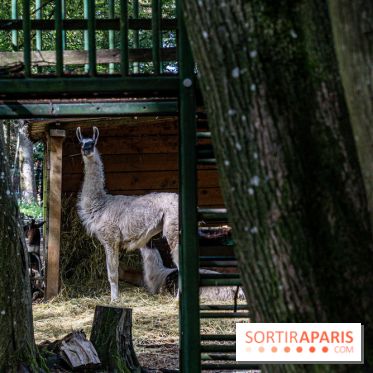 Le village de Janvry en Haute Vallée de Chevreuse  -  A7C0041