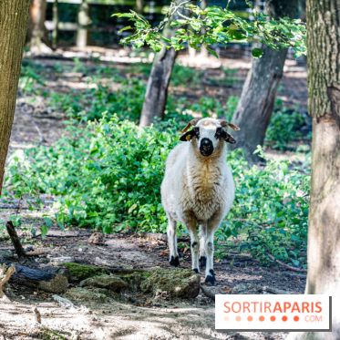 Le village de Janvry en Haute Vallée de Chevreuse  -  A7C0059