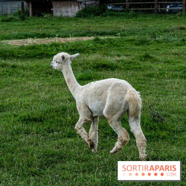 Le village de Janvry en Haute Vallée de Chevreuse  -  A7C9976