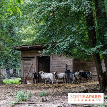 Le village de Janvry en Haute Vallée de Chevreuse  -  A7C9991