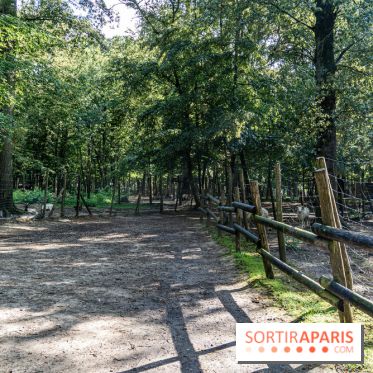 Le village de Janvry en Haute Vallée de Chevreuse  -  A7C0062