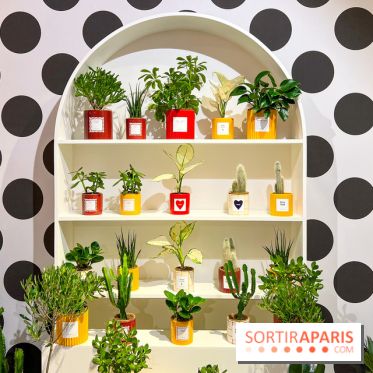 Olé, Olé, la nouvelle exposition du Bon Marché Rive Gauche - image00049