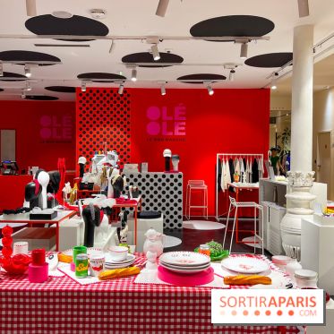 Olé, Olé, la nouvelle exposition du Bon Marché Rive Gauche - image00061