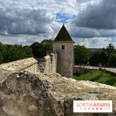 Provins, cité médiévale