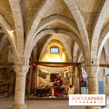 Provins, cité médiévale