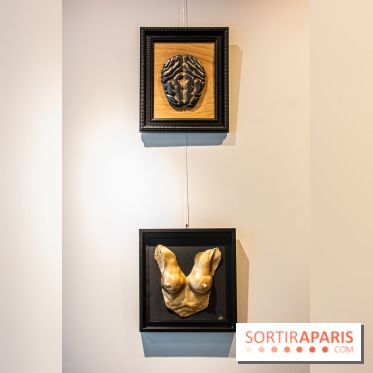 Exposition Organessence Ono galerie La Lison