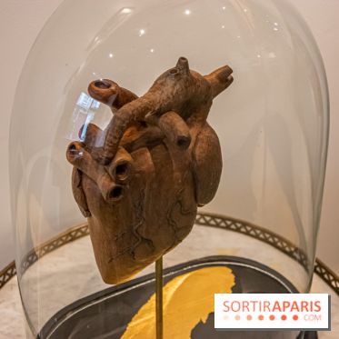 Exposition Organessence Ono galerie La Lison