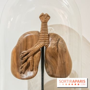 Exposition Organessence Ono galerie La Lison