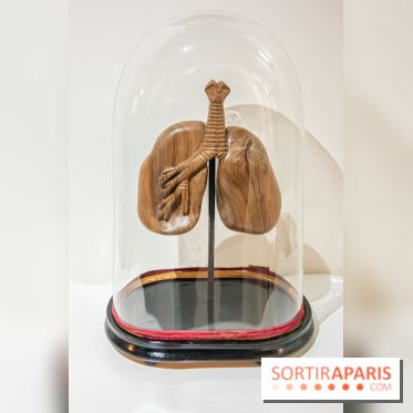 Exposition Organessence Ono galerie La Lison