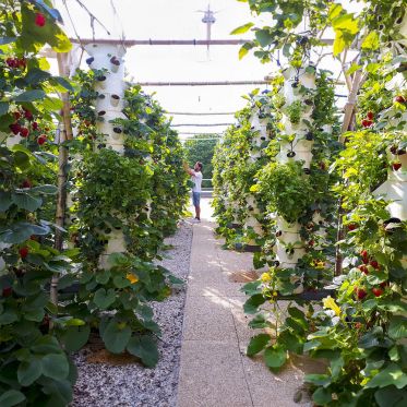 Paris Rooftop Days : découvrez 5 Rooftops insolites - natureurbaine 02