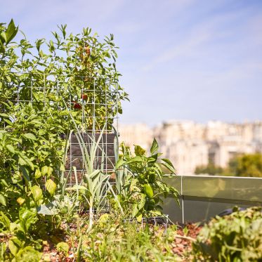 Paris Rooftop Days : découvrez 5 Rooftops insolites - peas&love 00