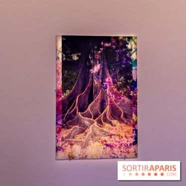 Poetry of Earth de Maya Rochat