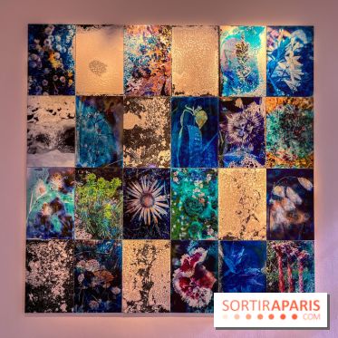 Poetry of Earth de Maya Rochat