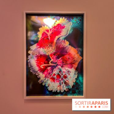 Poetry of Earth de Maya Rochat