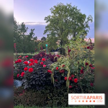 Festival Silhouette au parc de la Butte du Chapeau Rouge - image00007