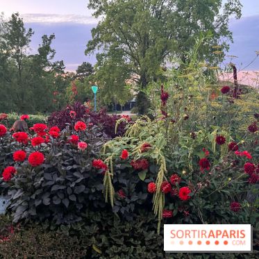 Festival Silhouette au parc de la Butte du Chapeau Rouge - image00008
