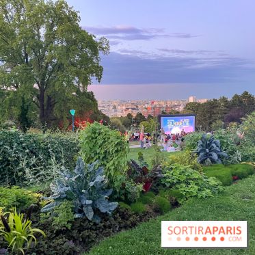 Festival Silhouette au parc de la Butte du Chapeau Rouge - image00009