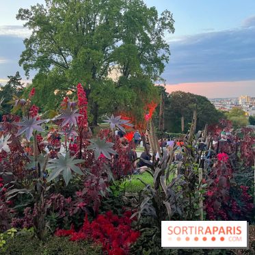 Festival Silhouette au parc de la Butte du Chapeau Rouge - image00005